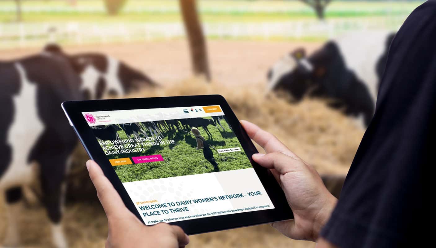 farmer on ipad reading farming website featuring copywriting service done by auckland web design company