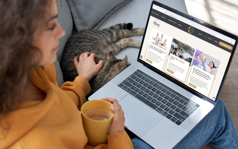 digitalstream-seo-services-page-case-studies-4 digitalstream-seo-services-page-case-studies-4